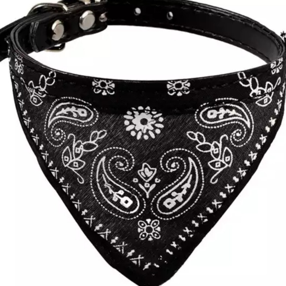 Small Bandana Collar - Picture 6 of 8